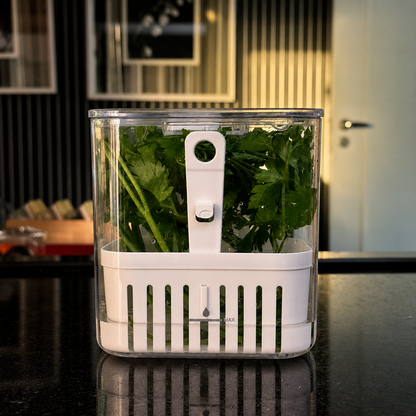 Organizador de Temperos Transparente 1,5L