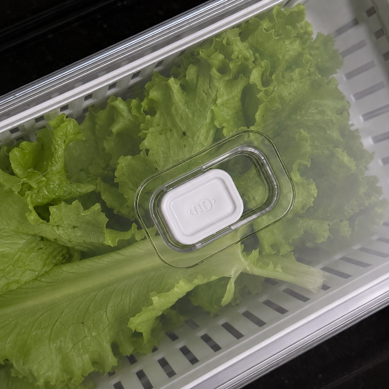 Organizador Clear Fresh Com Cesto 5L Transparente